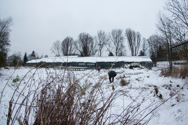 Schneelandschaft Gewächshäuser an der Henri Dunant Straße