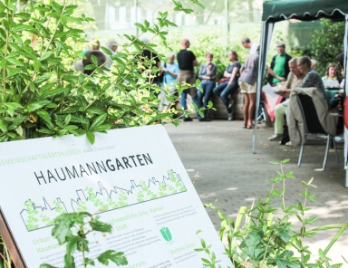 Sommerfest im Haumanngarten: